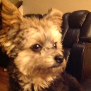 Meet your Posher, Evangelos